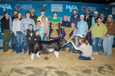 Upperhand Winners